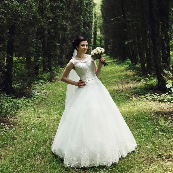 Брюнетка невеста позирует в лесу — стоковое фото