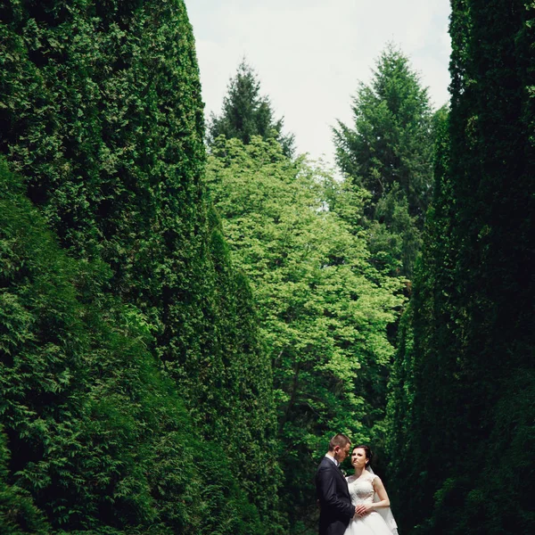 Couple de mariage dans le jardin vert — Photo