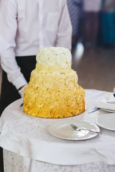 Gâteau de mariage élégant — Photo