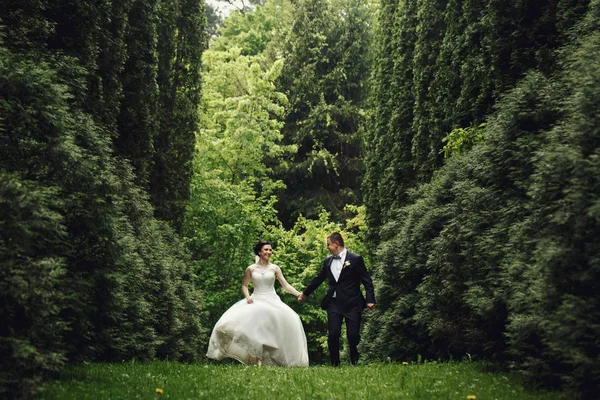 緑豊かな庭園のカップルの結婚式 — ストック写真