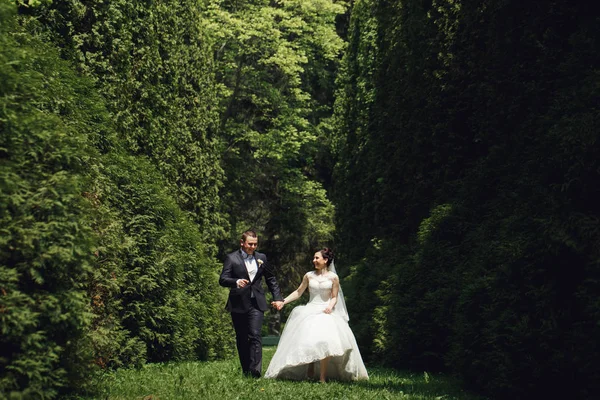 緑豊かな庭園のカップルの結婚式 — ストック写真