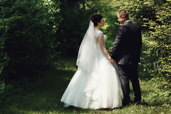 Wedding couple in green garden — Stock Photo, Image