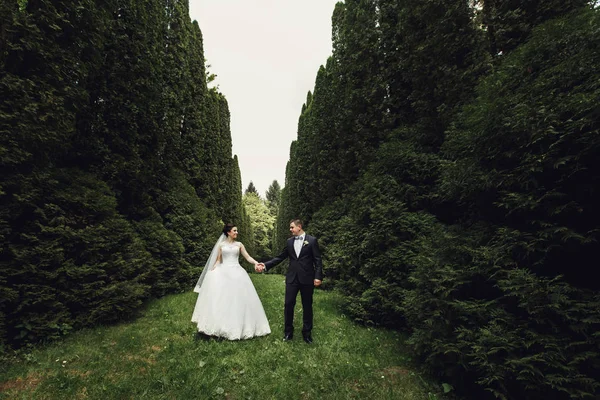 Bröllop par i grönskande trädgård — Stockfoto