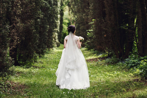 Look from behind at luxuriant bride walking through dense forest