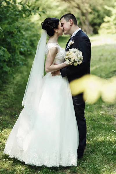 Pareja de boda en jardín verde —  Fotos de Stock