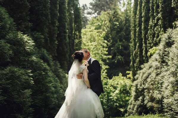 Свадебная пара в зеленом саду — стоковое фото