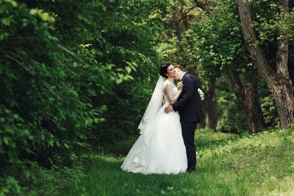 Pareja de boda en jardín verde —  Fotos de Stock