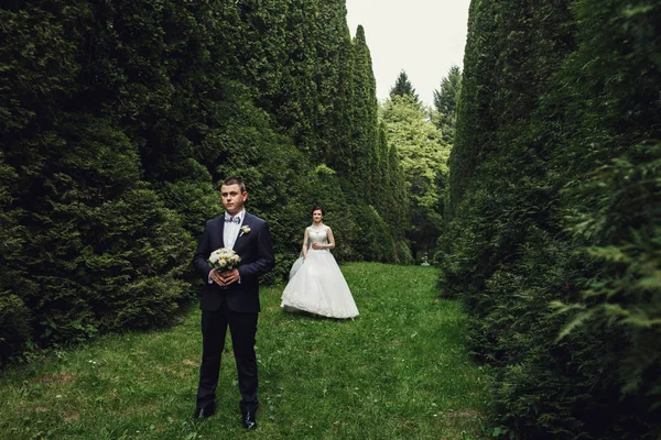 Pareja de boda en jardín verde — Foto de Stock