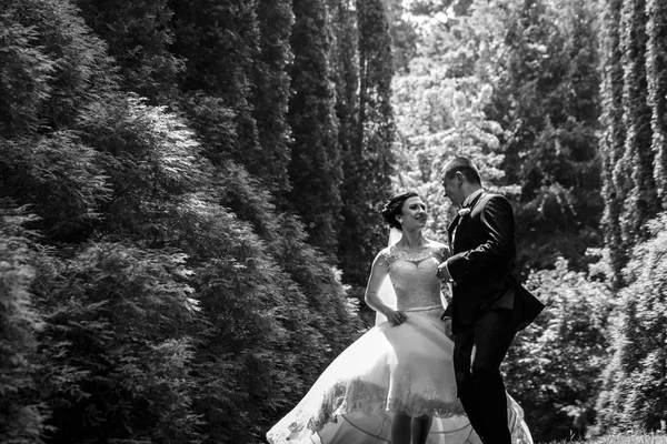 Pareja de boda en jardín verde —  Fotos de Stock