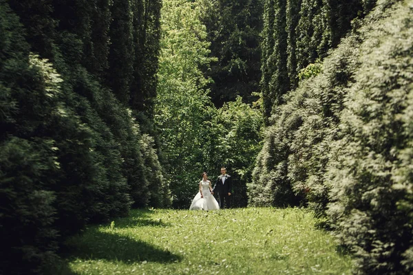 緑豊かな庭園のカップルの結婚式 — ストック写真