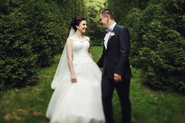 Couple de mariage dans le jardin vert — Photo