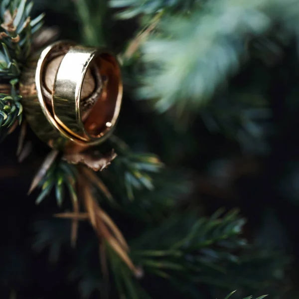 Wedding rings hanging on the fir — Stock Photo, Image