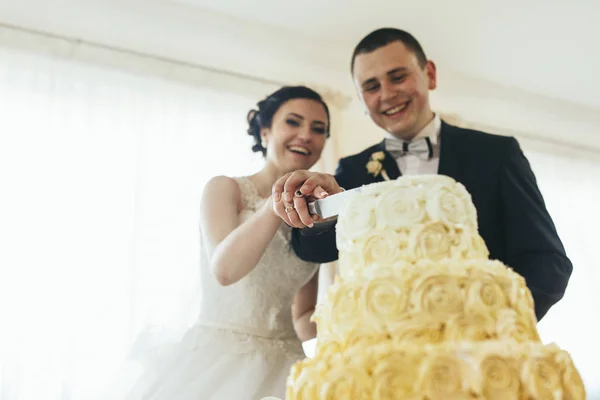 Casamento casal corte bolo saboroso — Fotografia de Stock