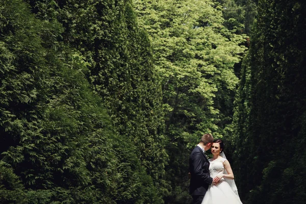 緑豊かな庭園のカップルの結婚式 — ストック写真