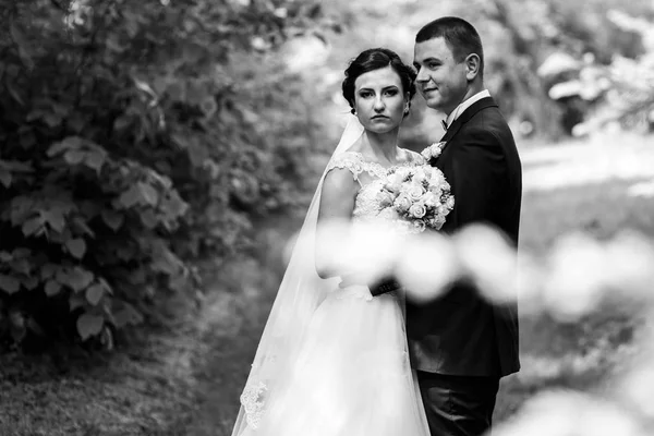 Pareja de boda en jardín verde —  Fotos de Stock