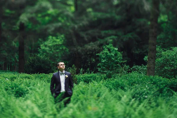 Caminatas de novio en bosque verde — Foto de Stock