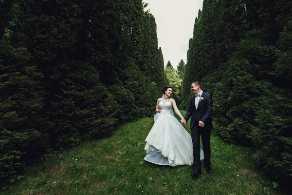 Pareja de boda en jardín verde — Foto de Stock