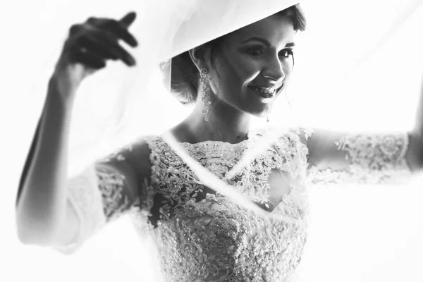Елегантна наречена в мереживній сукні під фатою — стокове фото