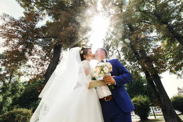 Impressionantes recém-casados no parque no dia ensolarado — Fotografia de Stock