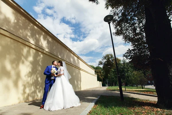 Fantastisk nygifta i park solig dag — Stockfoto