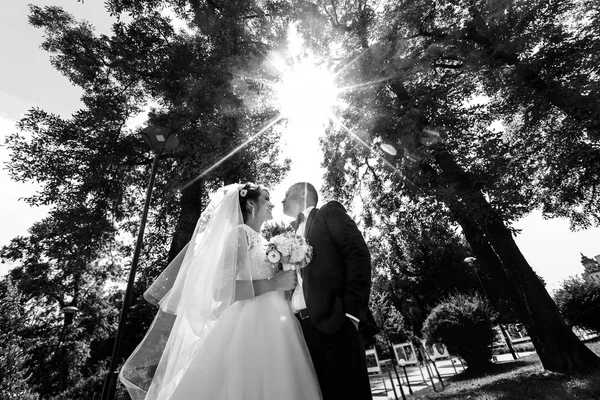 Impresionantes recién casados en el parque en un día soleado —  Fotos de Stock