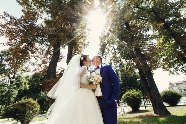 Impresionantes recién casados en el parque en un día soleado — Foto de Stock