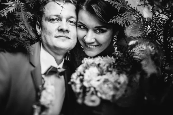 Couple de mariage parmi les branches vertes — Photo