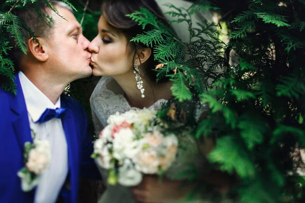 Свадебная пара среди зеленых ветвей — стоковое фото