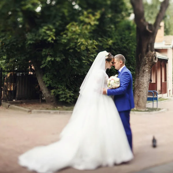 Recién casados en un paseo por el parque verde — Foto de Stock