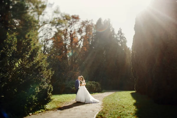 Jeunes mariés dans le parc d'automne — Photo