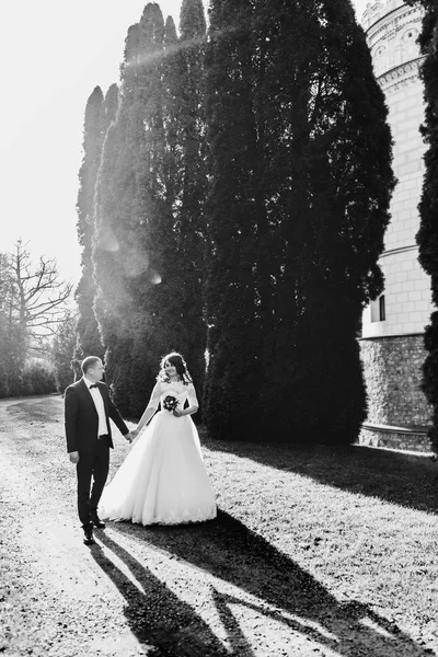 Hermosos recién casados por hermoso castillo viejo —  Fotos de Stock