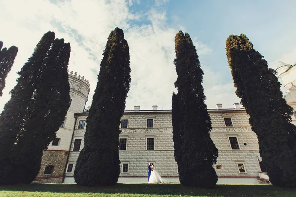 Underbara nygifta av vackert gammalt slott — Stockfoto