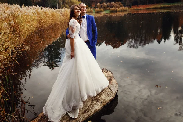 华丽的新婚夫妇的深秋的湖水， — 图库照片