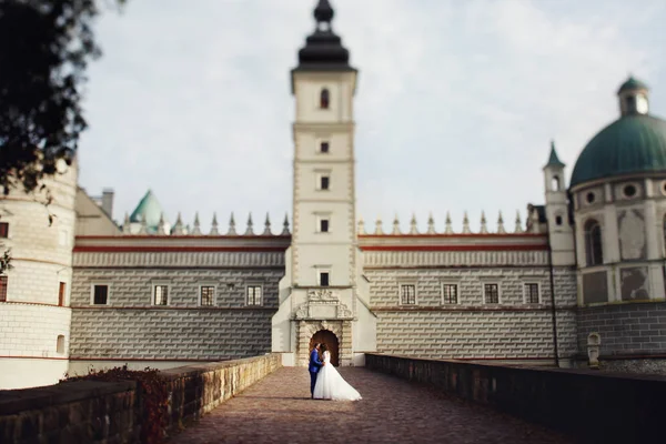Prachtige jonggehuwden door mooi oud kasteel — Stockfoto