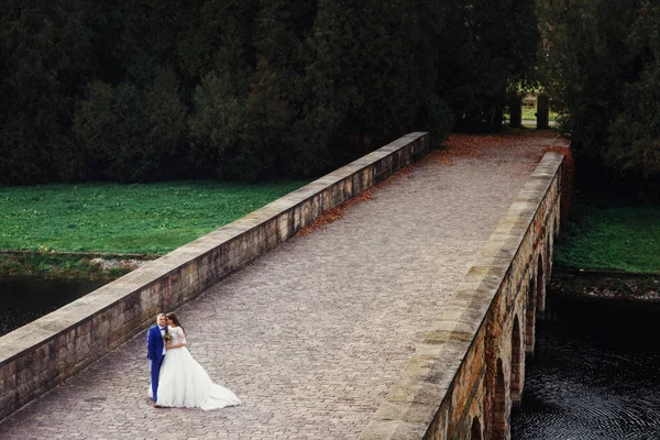 Hochzeitspaar auf alter Brücke — Stockfoto