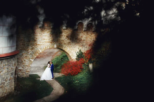 Hochzeitspaar auf alter Brücke — Stockfoto