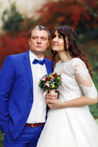 Recién casados posando frente a un arbusto rojo de otoño — Foto de Stock