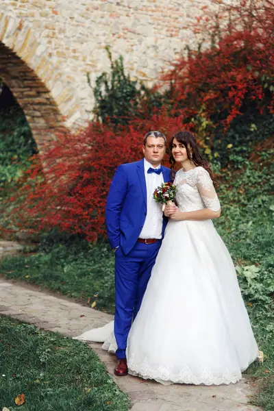 Recém-casados posando na frente do arbusto de outono vermelho — Fotografia de Stock