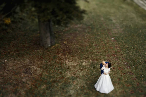 Gli sposi camminano lungo il sentiero nel parco — Foto Stock