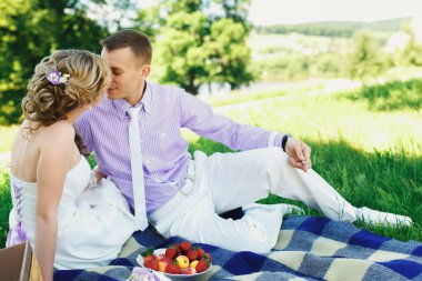 Çift yeşil Çimlerde piknik üzerinde düğün