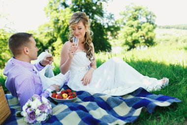 Çift yeşil Çimlerde piknik üzerinde düğün