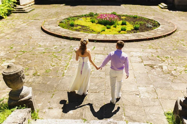 Wedding couple walks around flowerbed — Stock Photo, Image