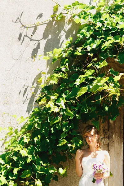 Sposa sotto edera verde sul muro — Foto Stock