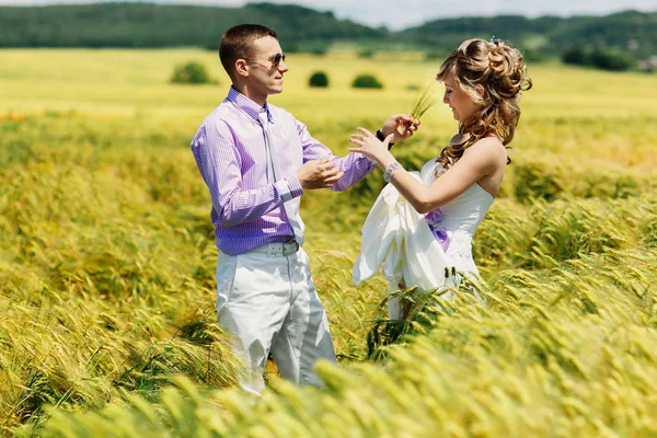 Recém-casados em campo de trigo alto — Fotografia de Stock