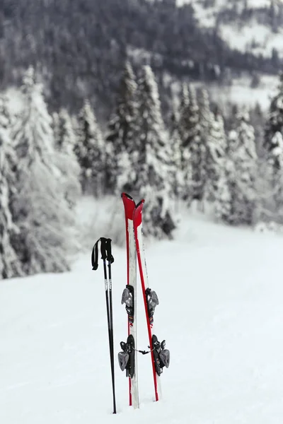 Esquís y bastones de esquí en la nieve en la colina — Foto de Stock