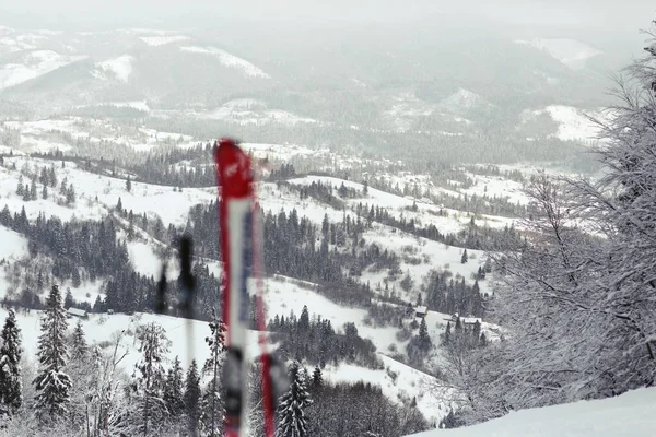 Sci e racchette da sci sulla neve in collina — Foto Stock