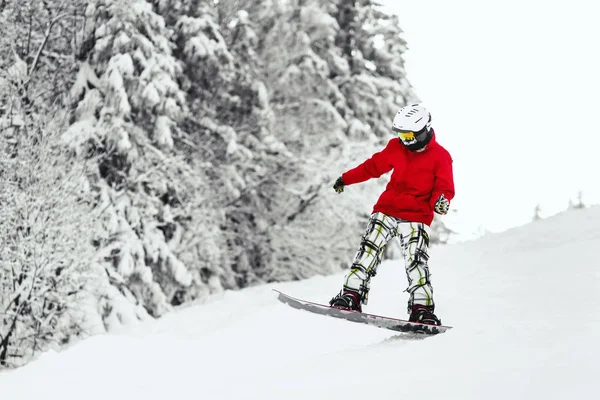 Snowboardåkare har snö i bergen — Stockfoto