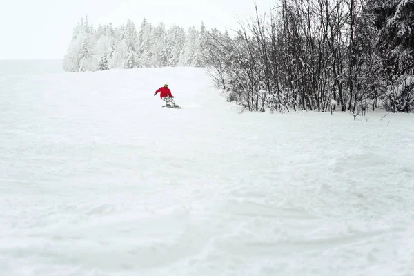 Snowboardåkare har snö i bergen — Stockfoto