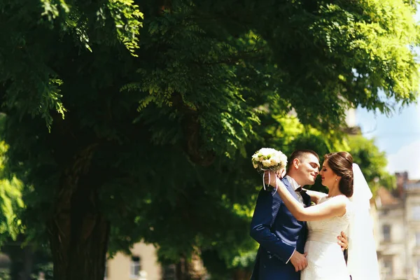 Recém-casados em um passeio no parque — Fotografia de Stock