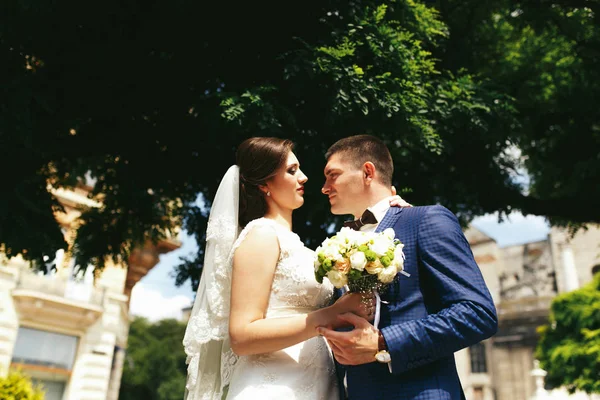 Recém-casados em um passeio no parque — Fotografia de Stock